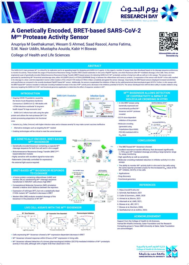 A Genetically Encoded, BRET-based SARS-CoV-2 Mpro Protease Activity Sensor