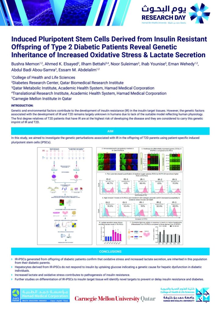 Induced Pluripotent Stem Cells Derived from Insulin Resistant Offspring of Type 2 Diabetic Patients Reveal Genetic Inheritance of Increased Oxidative Stress & Lactate Secretion